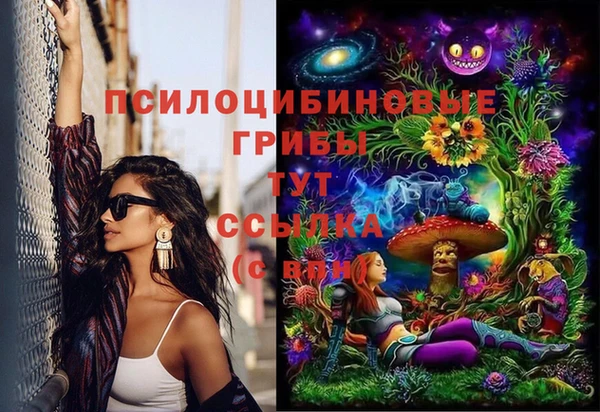 apvp Вязьма