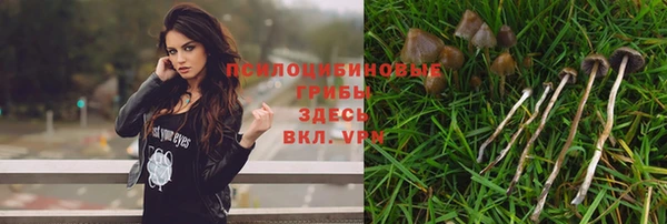 спайс Липки