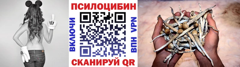 Галлюциногенные грибы Psilocybe  Дивногорск 